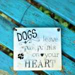Schild DOGS leave PAW PRINTS on your HEART