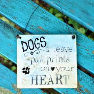 Schild DOGS leave PAW PRINTS on your HEART 13,5 x 15,5 cm (M)