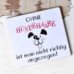 Hundeschild Ohne Hundehaare ist man nicht richtig...