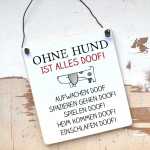 Schild  OHNE HUND ist alles doof