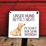 Dekoschild MEIN HUND bettelt nicht 13 x 13 cm (SAH+D) Holz