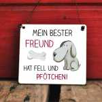 Hundeschild Mein bester Freund hat Fell und Pfötchen