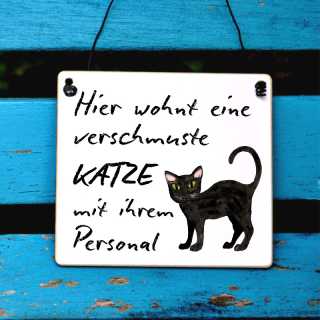 Schild verschmuste Katze mit Personal Small: 11 x 9,5 x 0,4 cm