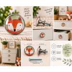 Kinder Möbelknopf mit Tiermotiv fürs Kinderzimmer Fuchs