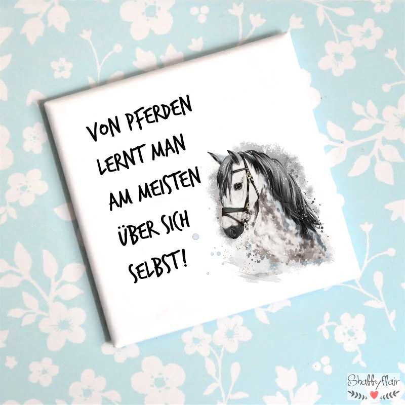 Magnet Von Pferden lernt man am meisten über sich selbst