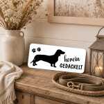 Dackel Schild mit lustigem Spruch hereingedackelt –...